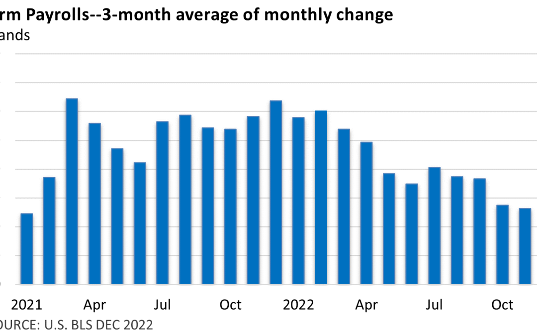 Stocks Rally on Hope Inflation Will Slow