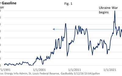 Looking Past the Pump: A Granular Look at Gasoline Prices